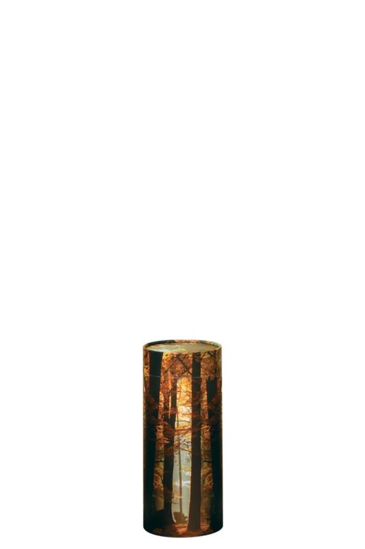Autumn Ash Scattering Tube - 0.4L Small