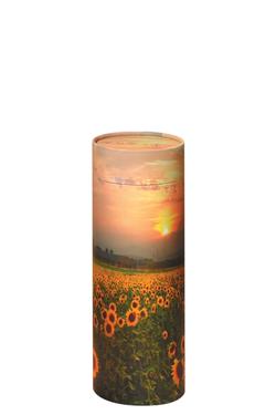 Sunflowers Ash Scattering Tube - 2L Medium