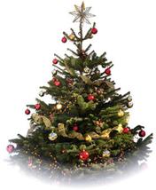 Order your personalised Christmas cards now!